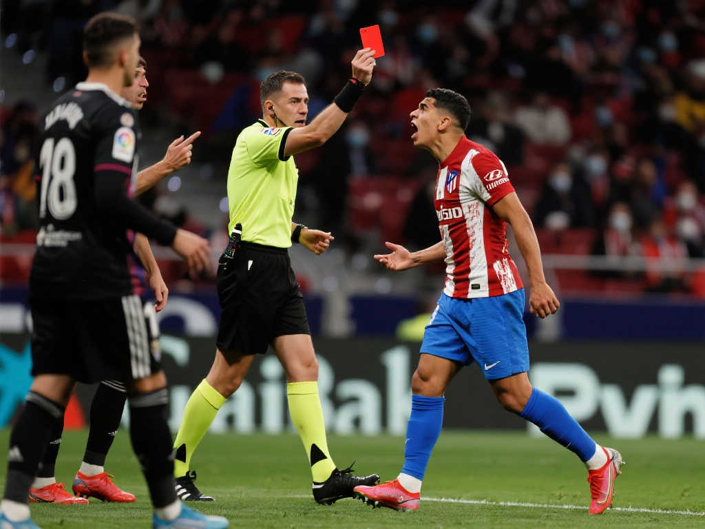 即便当年的 即便当年的