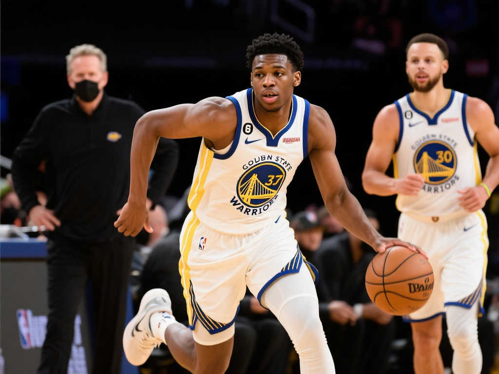 這一規則極 這一規則極