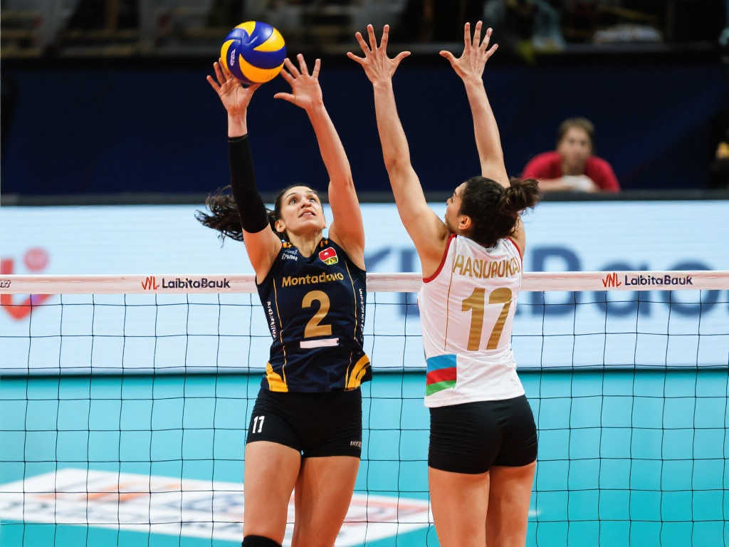 从这两支球 从这两支球